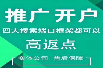 成功运用SEM技术提升网站流量的案例研究